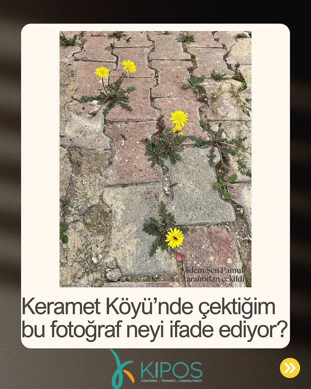 Bana Hangi Çatlaktan Hayat Akıyor?