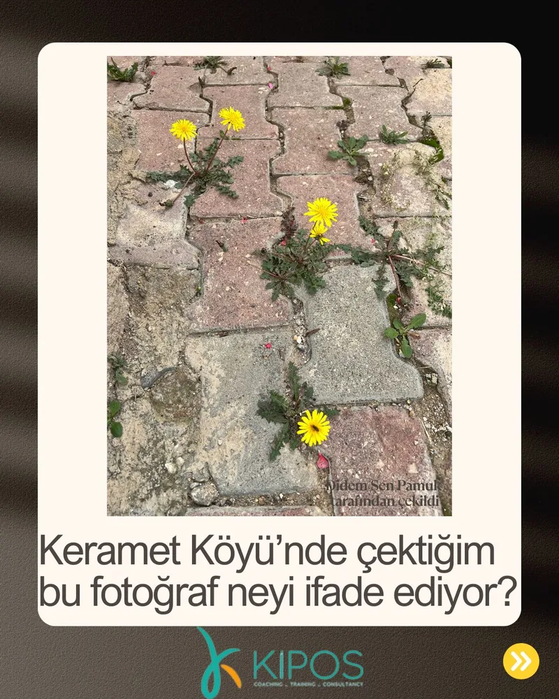 Bana Hangi Çatlaktan Hayat Akıyor?